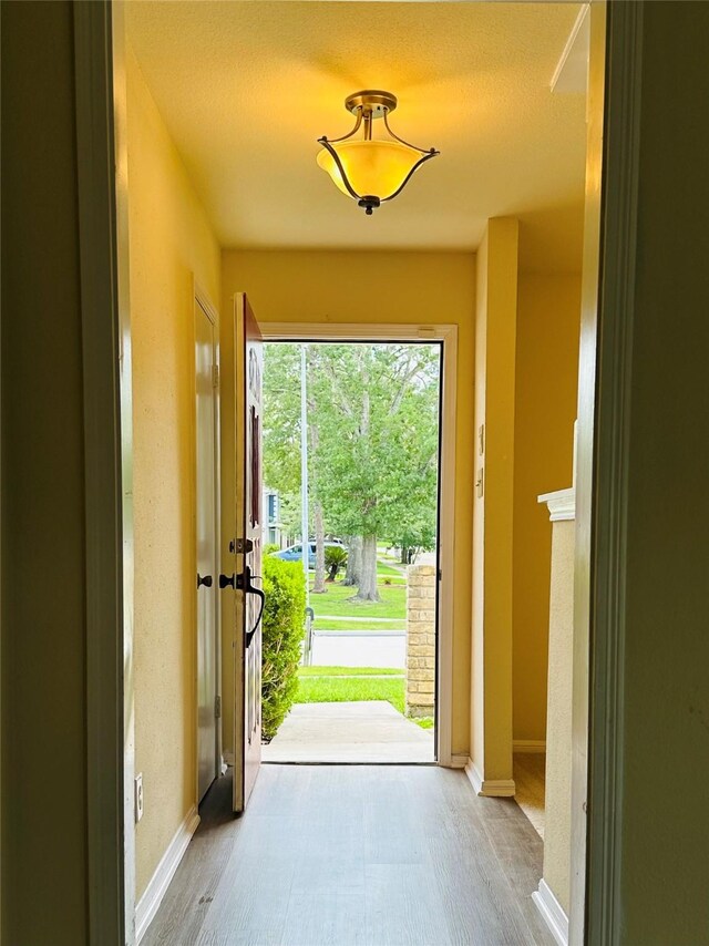 15474 Peermont St, Houston, TX 77062 - doorway with light wood finished floors and baseboards