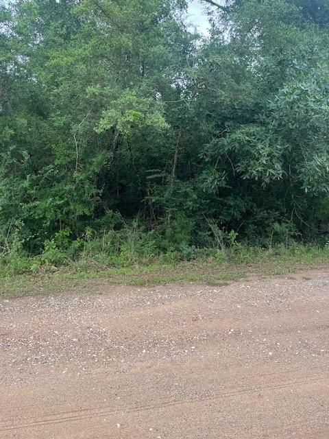 0 Deerwood Dr, Hempstead, TX 77445