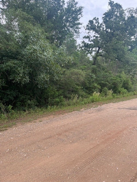 0 Deerwood Dr, Hempstead, TX 77445