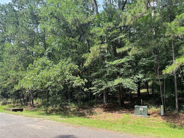 75 Green Tree Dr, Coldspring, TX 77331