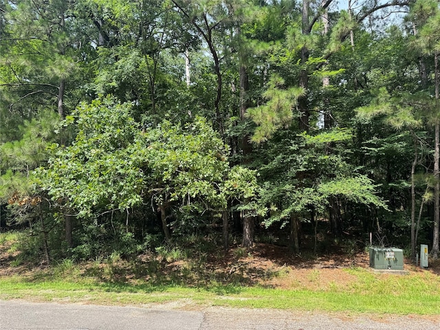 75 Green Tree Dr, Coldspring, TX 77331