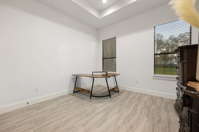 12 Rd 662, Dayton, TX 77535 - unfurnished room featuring light wood-style floors and a raised ceiling