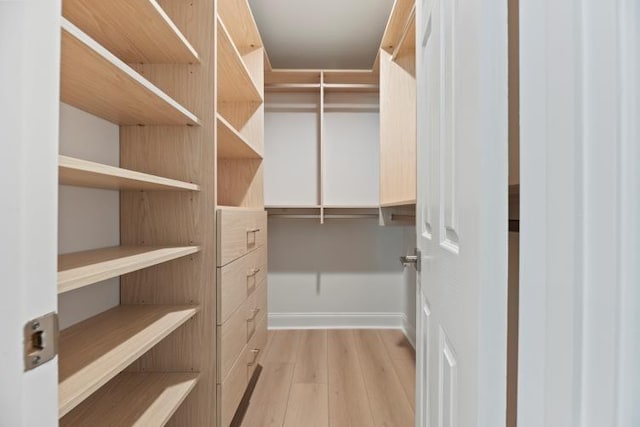4406 Merwin St, Houston, TX 77027 - walk in closet with light wood finished floors