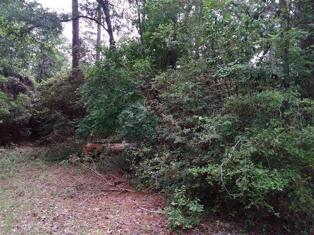 LOT13 Moose Dr, Onalaska, TX 77360 - photo 24