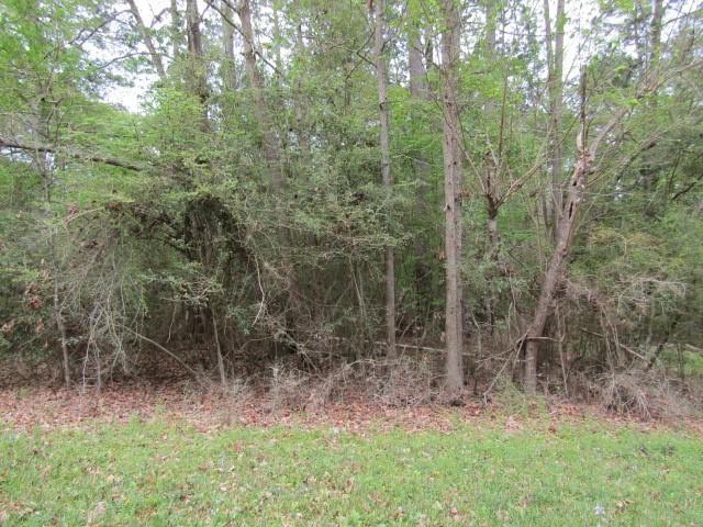 LOT13 Moose Dr, Onalaska, TX 77360 - photo 25