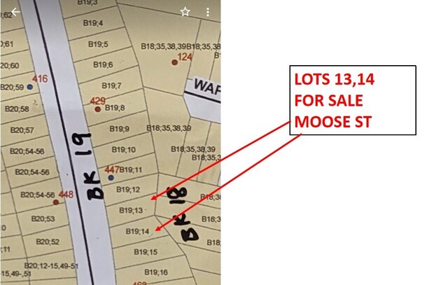 LOT13 Moose Dr, Onalaska, TX 77360 - photo 30
