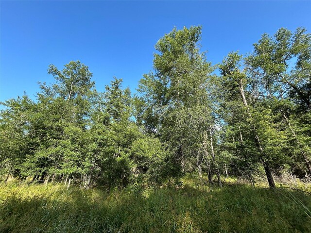 TRACT35 Fm 230, Lovelady, TX 77854 - photo 3