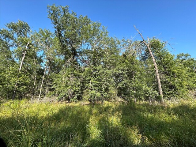 TRACT35 Fm 230, Lovelady, TX 77854 - photo 4