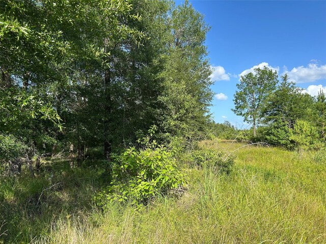 TRACT35 Fm 230, Lovelady, TX 77854 - photo 5