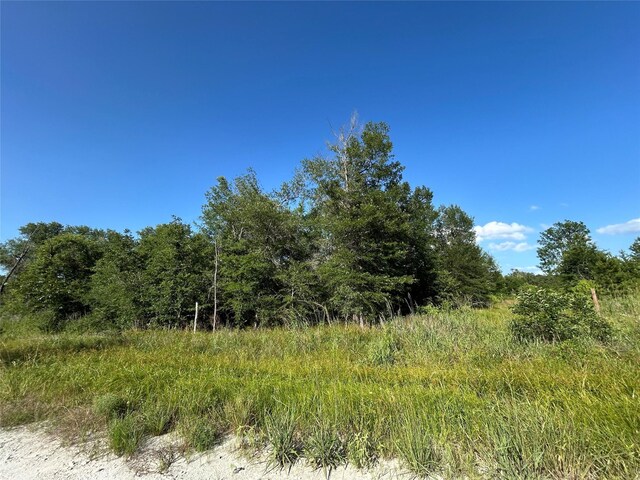 TRACT35 Fm 230, Lovelady, TX 77854 - photo 6