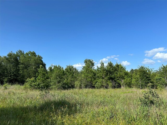 TRACT35 Fm 230, Lovelady, TX 77854 - photo 8