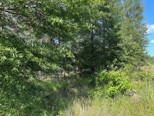 TRACT35 Fm 230, Lovelady, TX 77854 - photo 9
