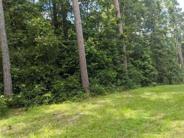 LOT21 Gnu St, Onalaska, TX 77360 - photo 23