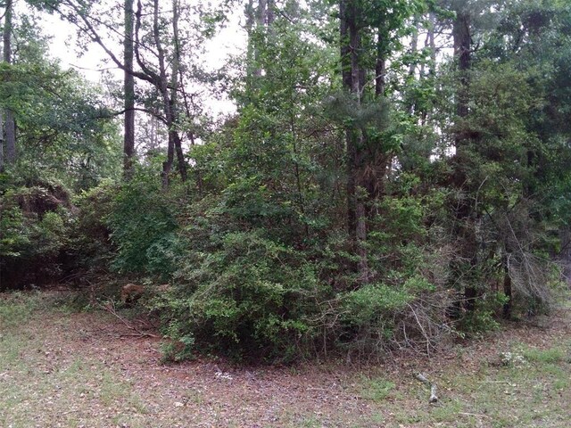 LOT21 Gnu St, Onalaska, TX 77360 - photo 24