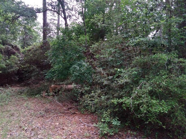 LOT21 Gnu St, Onalaska, TX 77360 - photo 25