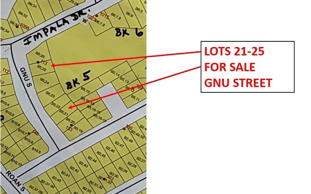 LOT21 Gnu St, Onalaska, TX 77360 - photo 32
