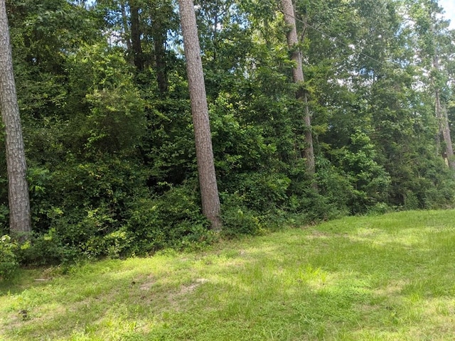 LOT27 Elk St, Onalaska, TX 77360 - photo 22