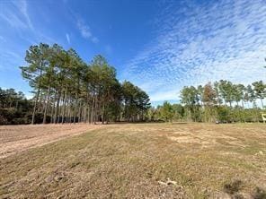 212 County Road 5002, Cleveland, TX 77327