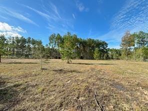 212 County Road 5002, Cleveland, TX 77327