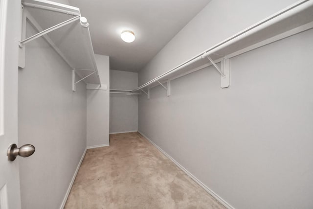 8030 Grow Ln, Houston, TX 77040 - walk in closet featuring light carpet