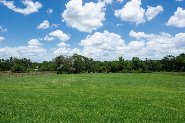 1430 Bluebonnet Ridge Dr, Chappell Hill, TX 77426 - view of green lawn featuring a view of rural / pastoral area and a forest view