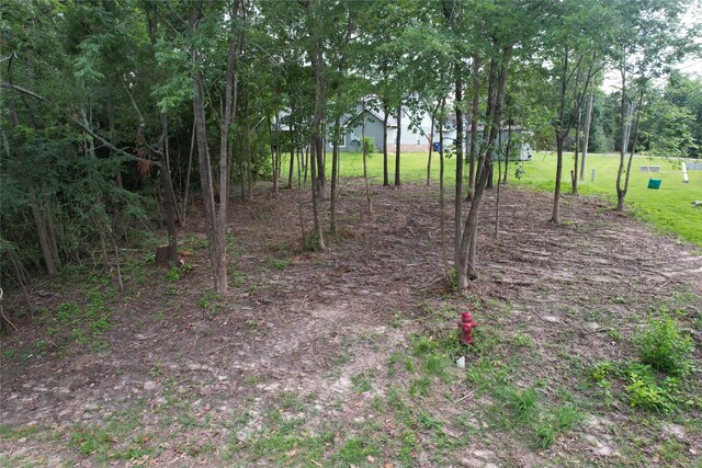 000 Lake Dr, Onalaska, TX 77360 - photo 4