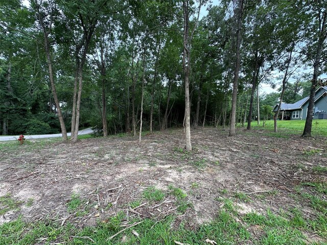 000 Lake Dr, Onalaska, TX 77360 - photo 6