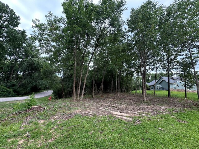 000 Lake Dr, Onalaska, TX 77360 - photo 7