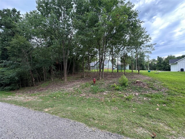 000 Lake Dr, Onalaska, TX 77360 - photo 2