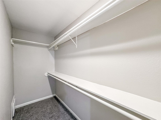 10610 Mills Prairie St, Houston, TX 77070 - spacious closet with dark colored carpet