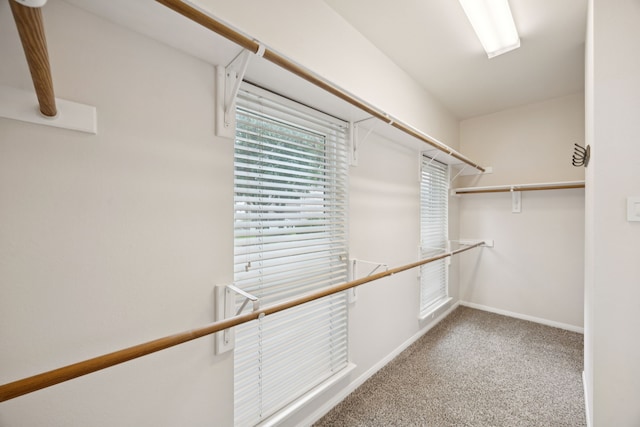 2537 La Rochelle Ct, Seabrook, TX 77586 - spacious closet featuring carpet floors