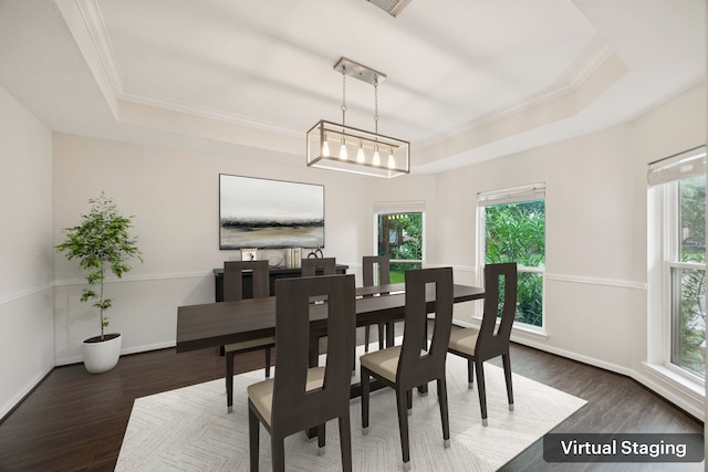 2537 La Rochelle Ct, Seabrook, TX 77586 - dining room with a raised ceiling, plenty of natural light, wood finished floors, and crown molding