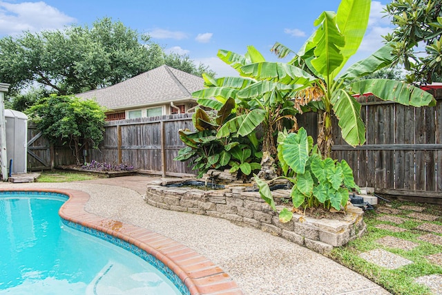 8806 Aberdeen Oaks Dr, Houston, TX 77095 - view of swimming pool featuring a fenced backyard