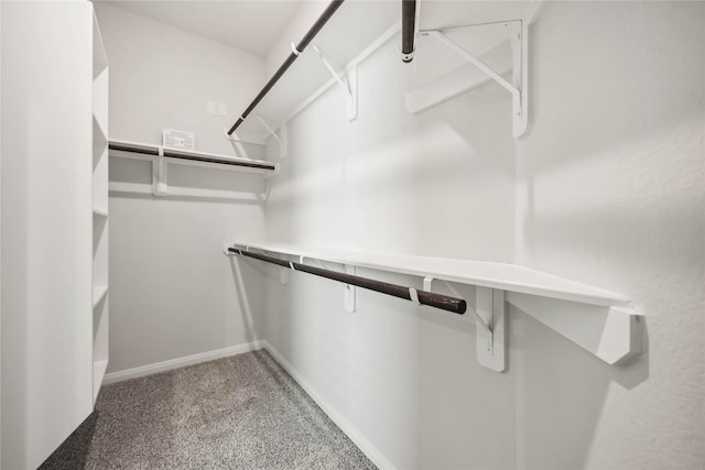 18379 Christine Elizabeth Ln, New Caney, TX 77357 - walk in closet featuring carpet flooring