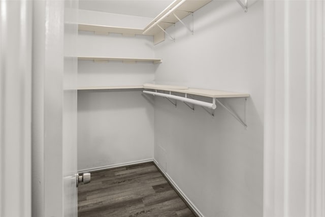 3445 Van Ness Dr, Alvin, TX 77511 - spacious closet with dark wood-type flooring