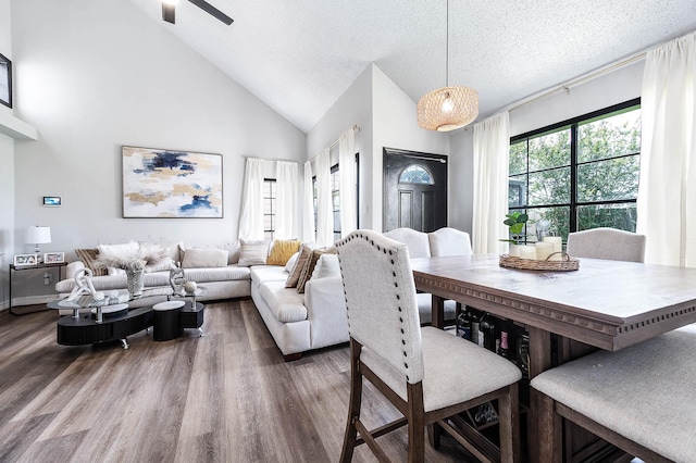 18446 N Willow Bluff Rd, Katy, TX 77449 - dining space featuring wood finished floors, ceiling fan, a textured ceiling, and high vaulted ceiling