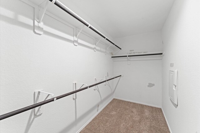 919 Bright Lotus Ln, Rosharon, TX 77583 - spacious closet with light colored carpet