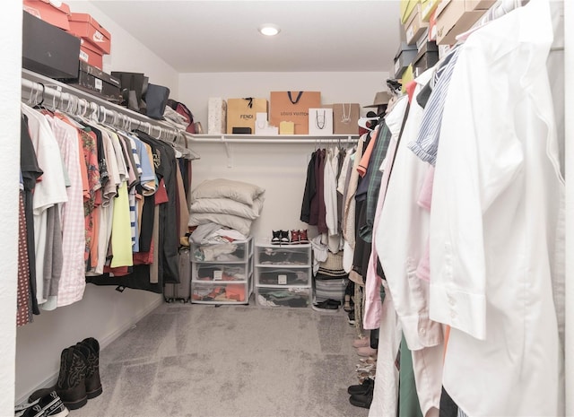 4523 Lally Brook Ct, Katy, TX 77493 - walk in closet with carpet