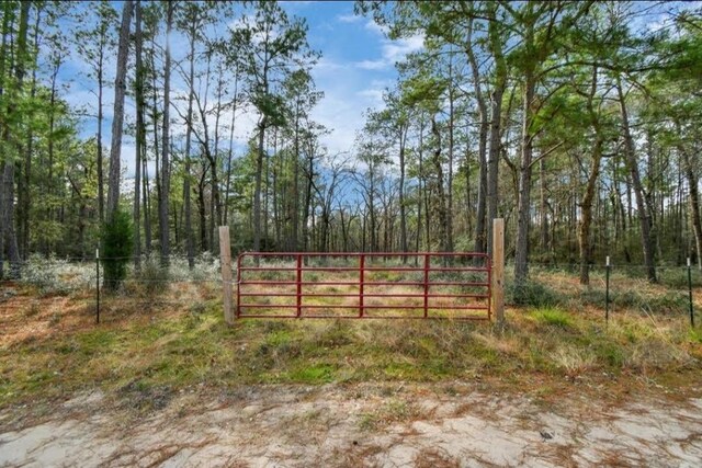 0 Rock Creek Dr, Trinity, TX 75862 - photo 10