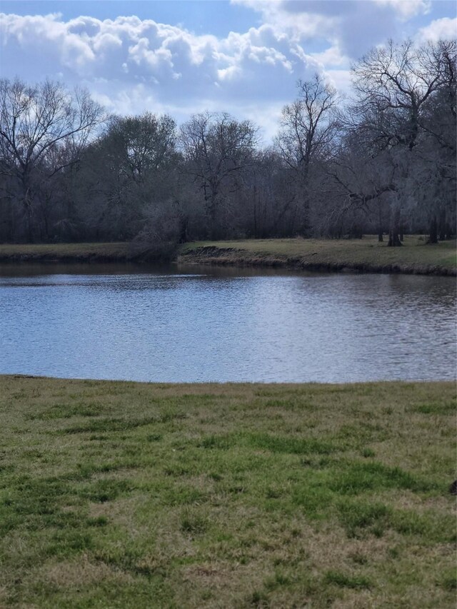 0 Jensen Dr, Cleveland, TX 77327 - photo 4
