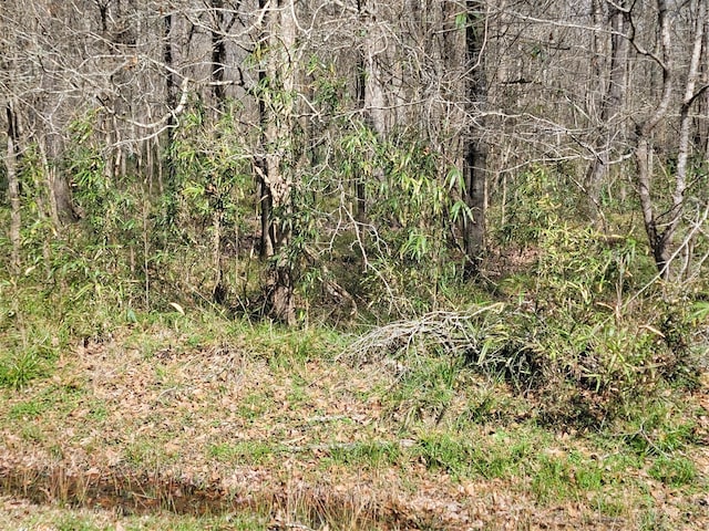0 Jensen Dr, Cleveland, TX 77327 - photo 2