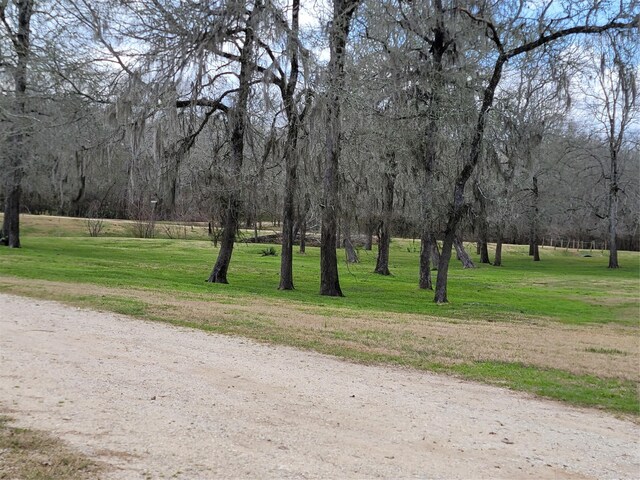 0 Jensen Dr, Cleveland, TX 77327 - photo 7