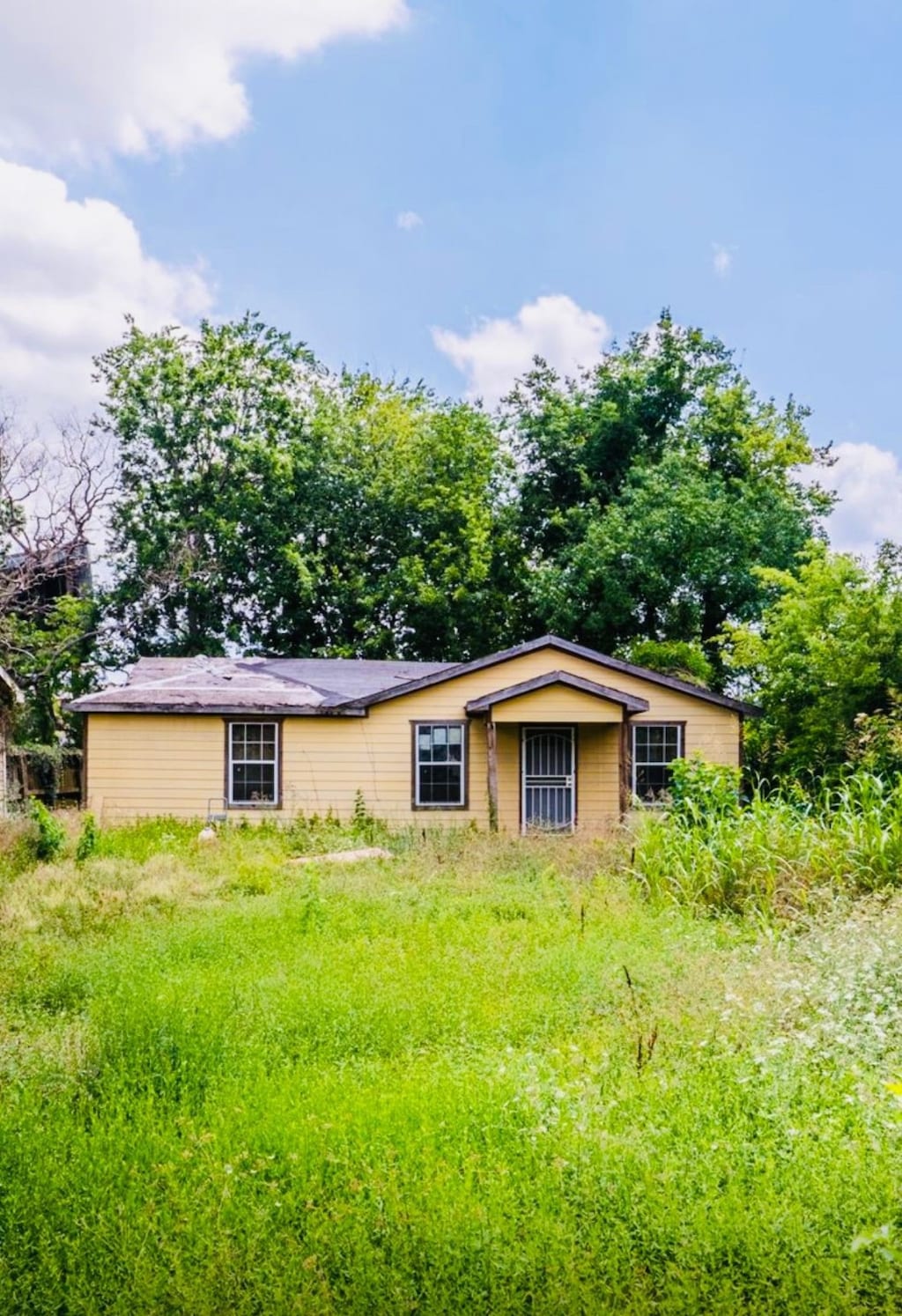 3724 Rebecca St, Houston, TX 77021