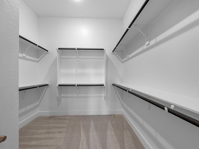 14939 Clover Meadow Ln, Montgomery, TX 77316 - walk in closet featuring carpet