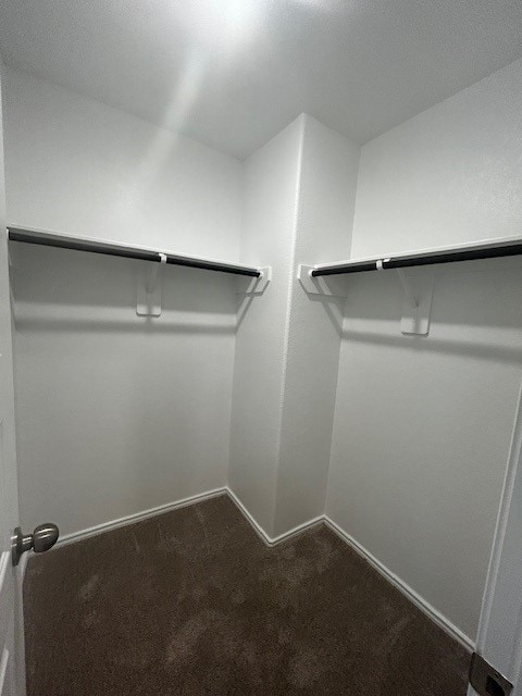 22919 Great Egret Dr, Splendora, TX 77372 - spacious closet with dark colored carpet