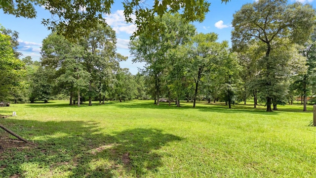 25064 Holly Oaks Ct, Magnolia, TX 77355 - photo 32