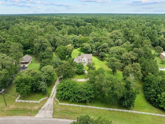 25064 Holly Oaks Ct, Magnolia, TX 77355 - photo 36