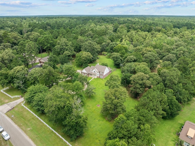 25064 Holly Oaks Ct, Magnolia, TX 77355 - photo 37