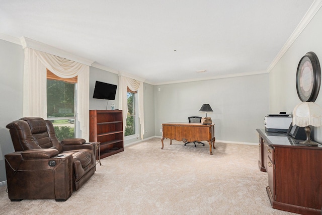 2128 Wimbleton Ct, Pearland, TX 77581 - office area featuring light carpet and ornamental molding