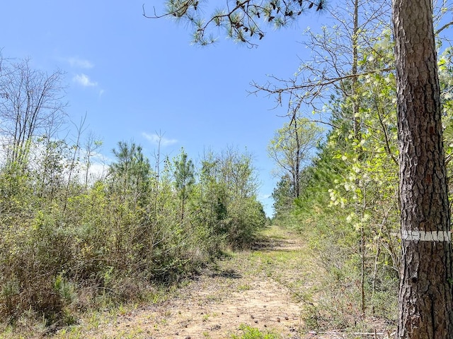 4 Rice Rd E, Camden, TX 75934
